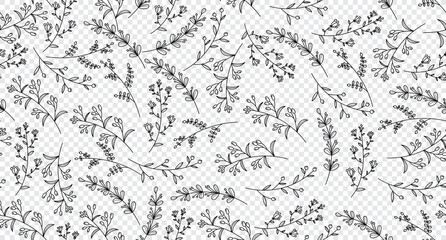 Fototapeta na wymiar Elegant seamless pattern with plants and herbs. Leaves seamless pattern. Botanical seamless pattern. Floral background. Hand drawn vector illustration