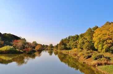 青空と紅葉　秋の風景