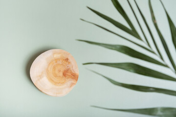 Wooden slice as podium or pedrstal top view, flat lay on colored background with palm leave decoration. Podium or pedestal mock up