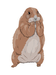 Prairie dog. Wild rodents of North America. realistic vector animals