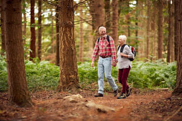 Fototapeta premium Loving Retired Senior Couple Hiking In Woodland Countryside Together