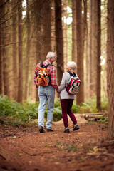 Rear View Of Loving Retired Senior Couple Holding Hands Hiking In Woodland Countryside Together