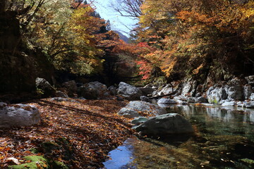 日本の秘境　奥祖谷二重かずら橋　秋　(徳島県　三好市）