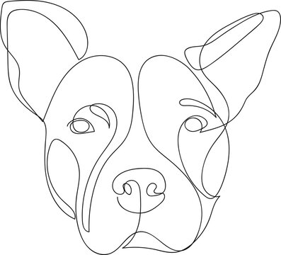 Continuous line Pit Bull. Single line minimal style Pitbull dog vector illustration. Portrait.