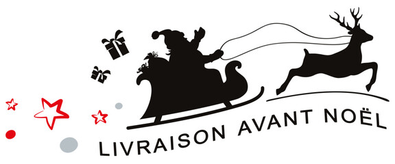 LIVRAISON AVANT NOËL_BANNIÈRE