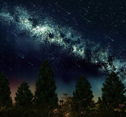 Fototapeta na wymiar Starry sky nebula on night and dark forest plant and tree moon and Aurora light flares nature landscape wonderland 