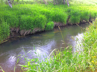 Stream of freshwater with bank along farming agricultural fields