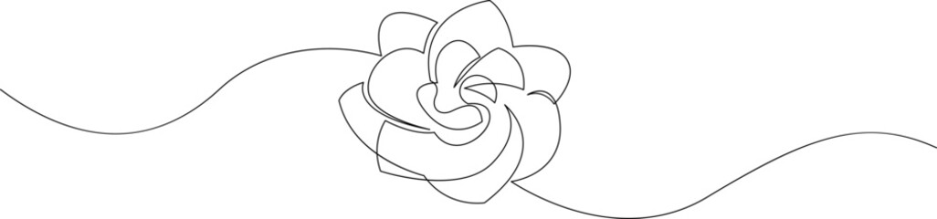 Peony flower continuous one line drawing. Hand drawn minimalism style of simple flower line art. Vector illustration.