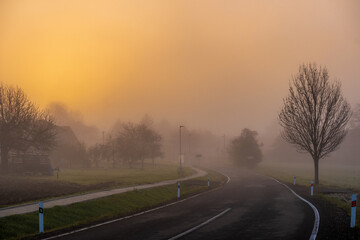 morning in the fog