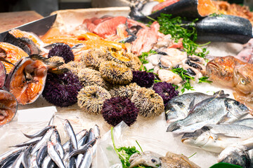 exotic mediterranean seafood sea urchins, fresh salmon and different fish on ice in the food market