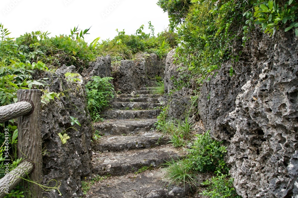 Canvas Prints Stone steps up to the Imgya Marine Garden viewing platform