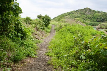 Stone path around the inlet of the Imgya Marine Garden
