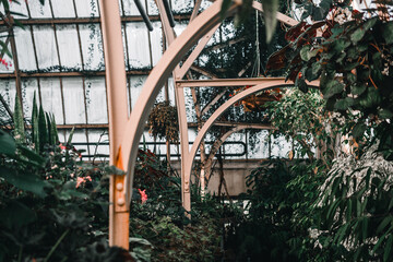 greenhouse of a botanic garden with large windows that protect the many plants of different sizes that live inside, botanic garden christchurch, new zealand - obrazy, fototapety, plakaty