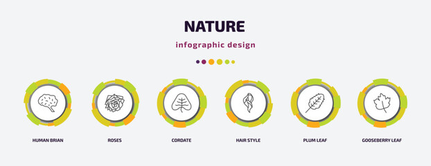 nature infographic template with icons and 6 step or option. nature icons such as human brian, roses, cordate, hair style, plum leaf, gooseberry leaf vector. can be used for banner, info graph, web,