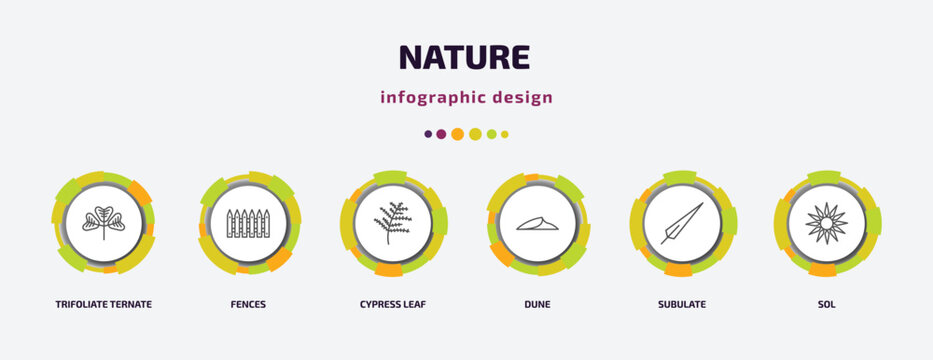 nature infographic template with icons and 6 step or option. nature icons such as trifoliate ternate, fences, cypress leaf, dune, subulate, sol vector. can be used for banner, info graph, web,