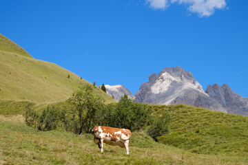 Fototapeta na wymiar View of Fuciade Valley in the Dolomites