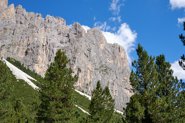 Panoramas of the Alpe Ciampedie, Vigo di Fassa, Val di Fassa, Trento, Trentino Alto Adige, Italy