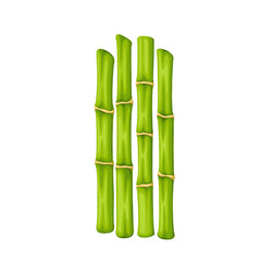 Bamboo green sticks vector illustration. Cartoon isolated vertical stem or branch of tropical grass plant, cutting natural straight stalks from Asian forest for border, fence or home decor in Asia