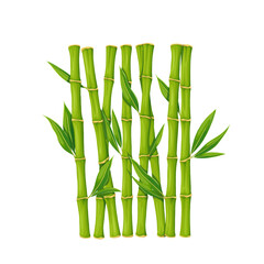 Fototapeta na wymiar Bamboo branch with leaves vector illustration. Cartoon isolated vertical stalks with fresh green foliage on stem, grass plant from bamboo grove or garden, tropical summer and zen traditional symbol