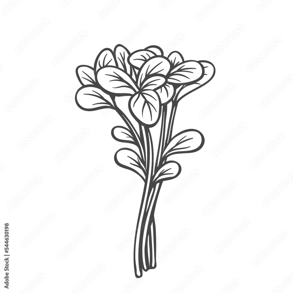 Wall mural garden cress outline icon vector illustration. hand drawn line sketch of flavour and aroma herb, sum - Wall murals