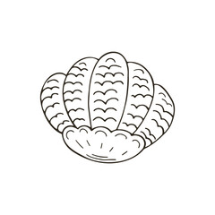 Monochrome Illustrations in hand draw style