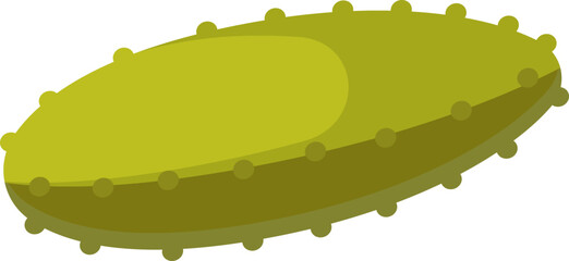 Pickles flat icon Small cucumber Canned vegetable