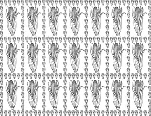 Sketch corn. Harvesting cereals, hand drawn cobs and seeds vector seamless pattern