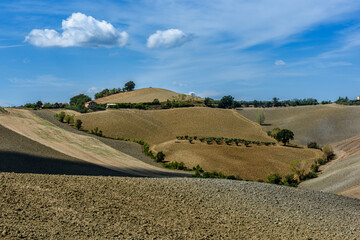 Marche, colline dell'entroterra di Fano, Pesaro Urbino