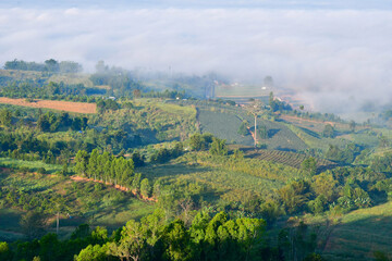 Obraz premium landscape in the mountains