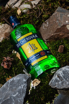 Liquor Becherovka 0.5 l on a dark natural background