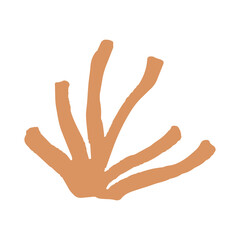 grass in minimalist boho and vintage hand drawn illustration for design element.