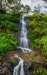 waterfall in the forest