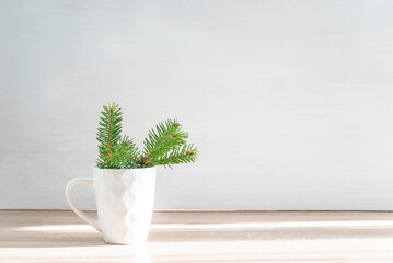 Fir twigs in white mug on wooden table and white background with shadows and sunlight; Christmas holiday greeting card