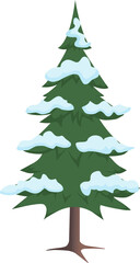 Green Christmas tree covered with snow, white background, vector.