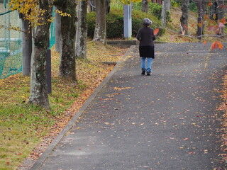 秋の公園を走る高齢女性の後ろ姿