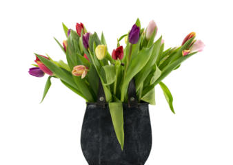 bouquet tulips in shopping bag on transparent background