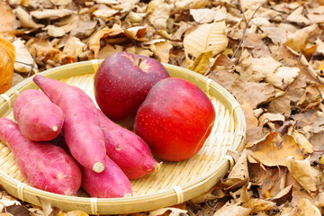 秋の味覚（さつまいも・りんご）