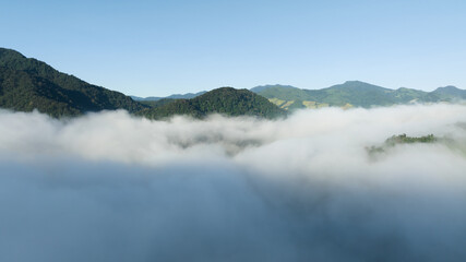 beautiful landscape sea of mist in the valley and sky in Nan Province Thailand,