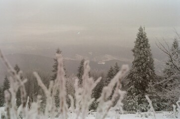 Winter landscape concept. Analog black-and-white film photo of a beautiful mountainous landscape...