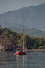sailboat on the lake