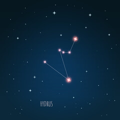 Constellation Hydrus scheme in starry sky. Open space. Vector illustration Hydrus constellation in open space through a telescope © iryna