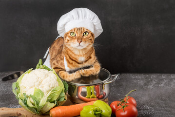 Chef cat with a pan and vegetables