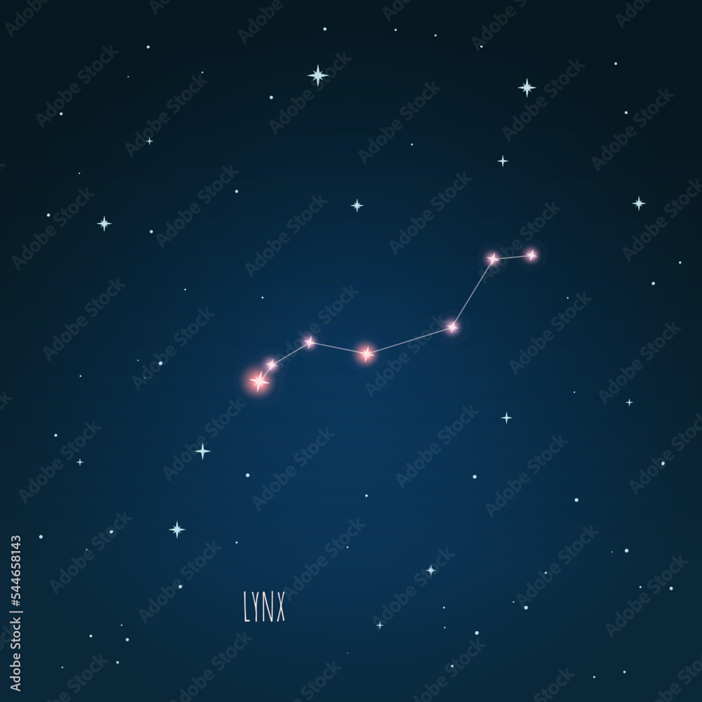 Canvas Prints constellation lynx scheme in starry sky. open space. vector illustration lynx constellation in open 