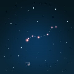 Obraz na płótnie Canvas Constellation Lynx scheme in starry sky. Open space. Vector illustration Lynx constellation in open space through a telescope