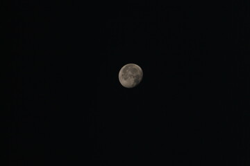 Mond 1