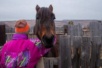 Bay Horse Standing at Split Rail wooden fence in pasture