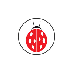 Cute little bee on a white background