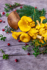 Raw wild mushrooms chanterelles on old wooden background. Vegetarian healthy product. Healthy lifestyle. - 544668103