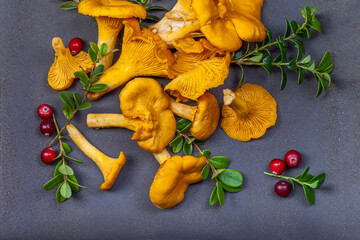 Raw wild mushrooms chanterelles on old wooden background. Vegetarian healthy product. Healthy lifestyle. - 544668157