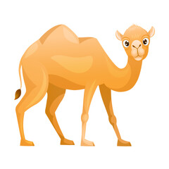 Brown Camel as Even-toed Ungulate Desert Animal Standing Vector Illustration